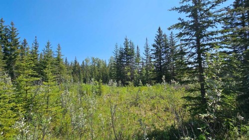 4-34364 Range Road 42, Rural Mountain View County, AB 
