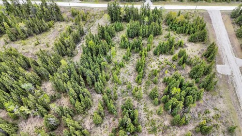 4-34364 Range Road 42, Rural Mountain View County, AB 