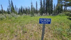 19-34364 Range Road 42  Rural Mountain View County, AB T0M 1X0