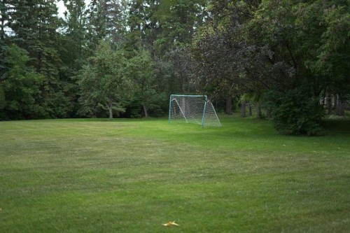 20 Cronquist Close, Red Deer, AB 