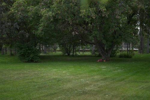 20 Cronquist Close, Red Deer, AB 