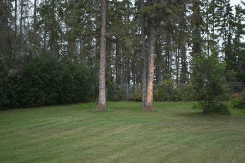 20 Cronquist Close, Red Deer, AB 