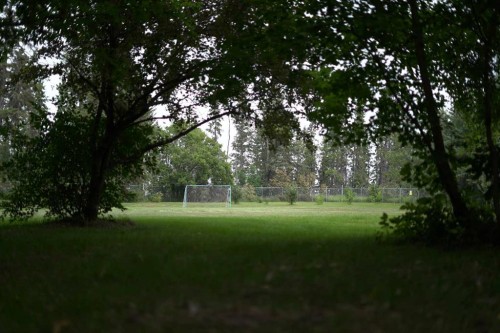 20 Cronquist Close, Red Deer, AB 