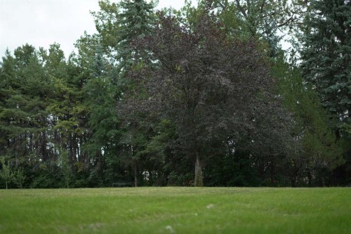 20 Cronquist Close, Red Deer, AB 