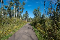 152-27111 597 Highway  Rural Lacombe County, AB T0M 0J0