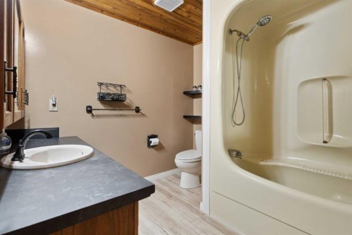 119 3Rd Avenue West, Alliance, AB - Indoor Photo Showing Bathroom
