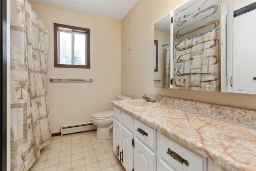 119 3Rd Avenue West, Alliance, AB - Indoor Photo Showing Bathroom