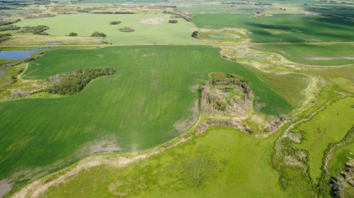 163 Range, Rural Beaver County, AB 