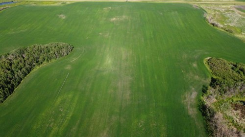 163 Range, Rural Beaver County, AB 