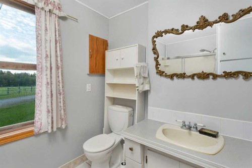 32328 Range Road 42, Rural Mountain View County, AB - Indoor Photo Showing Bathroom