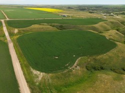 SE-22-29-23-W4M  Rural Kneehill County, AB T0M 0L0