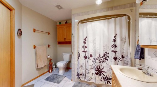 18320 Twp 39-0, Botha, AB - Indoor Photo Showing Bathroom