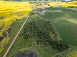 Township Road 440  Rural Camrose County, AB T0B 1M0