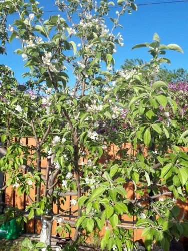 2124 20 Street, Delburne, AB 