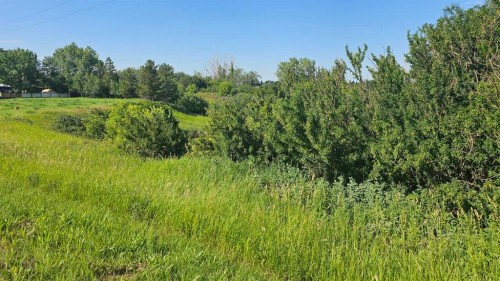 4325 48 Avenue, Castor, AB 