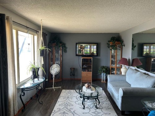 4912 49 Street, Hardisty, AB - Indoor Photo Showing Living Room