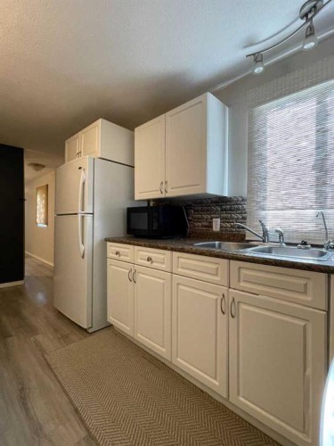 202 Railway Avenue, Veteran, AB - Indoor Photo Showing Kitchen With Double Sink