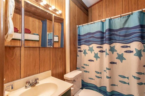 224-41124 Range Road 282 Range, Gull Lake, AB - Indoor Photo Showing Bathroom