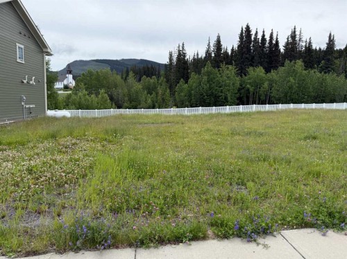 339 Elizabeth Avenue, Nordegg, AB 