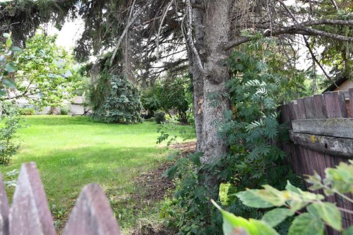 4411 55 Street, Red Deer, AB 