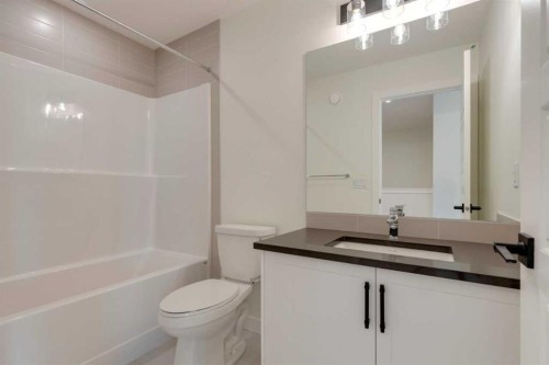 8546 Huxbury Drive Ne, Calgary, AB - Indoor Photo Showing Bathroom