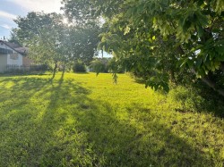 4704 50 Street  Ponoka, AB T4J 1J3