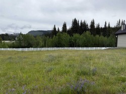 343 Elizabeth Avenue  Nordegg, AB T0M 2H0