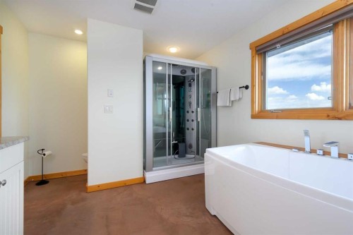 38139 Range Road 265, Rural Red Deer County, AB - Indoor Photo Showing Bathroom