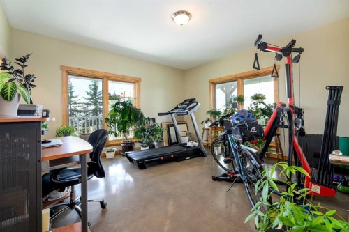 38139 Range Road 265, Rural Red Deer County, AB - Indoor Photo Showing Gym Room