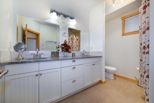 38139 Range Road 265, Rural Red Deer County, AB - Indoor Photo Showing Bathroom