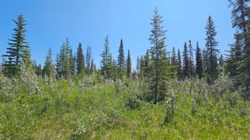 11-34364 Range Road 42, Rural Mountain View County, AB 