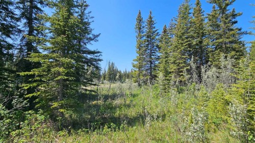 11-34364 Range Road 42, Rural Mountain View County, AB 