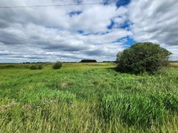 Range Road 284 South  Rural Red Deer County, AB T4E 3A4