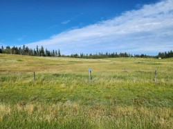 256 Briar Road  Rural Lacombe County, AB T0M 0J0