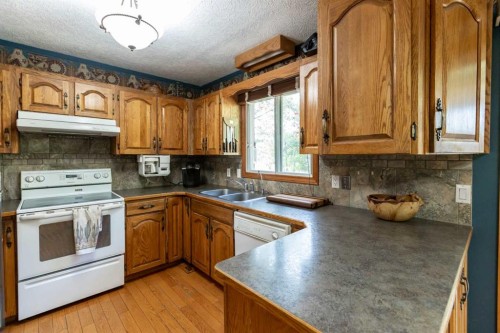 128 Norby Crescent, Red Deer, AB - Indoor Photo Showing Kitchen With Double Sink