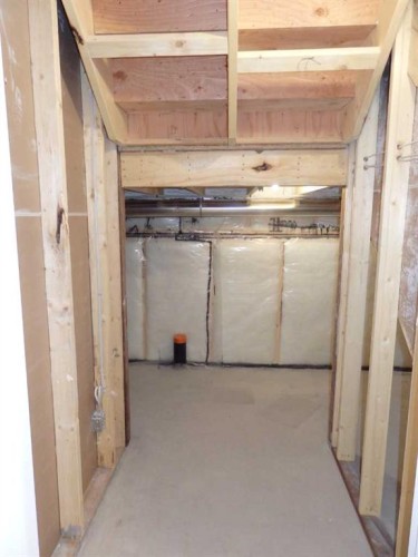 56 Emmett Crescent, Red Deer, AB - Indoor Photo Showing Basement