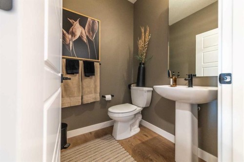 115 Saddlebred Place, Cochrane, AB - Indoor Photo Showing Bathroom