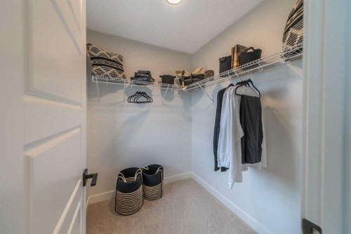 115 Saddlebred Place, Cochrane, AB - Indoor With Storage