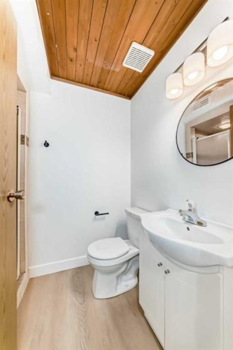 7352 59 Avenue, Red Deer, AB - Indoor Photo Showing Bathroom