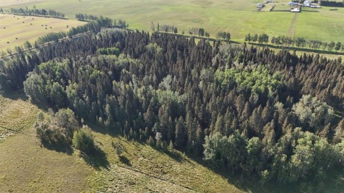 32373 Range Road 52, Rural Mountain View County, AB 