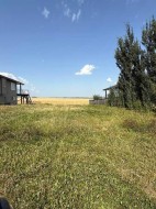 4626 58 Avenue  Rimbey, AB T0C 2J0