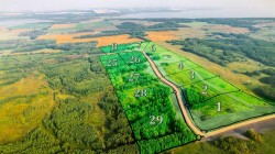 SW 1/4 Sec 21-42-1-5; Lot 4  Rural Ponoka County, AB T0C 2J0