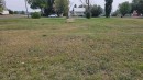 5010 52 Street, Castor, AB 