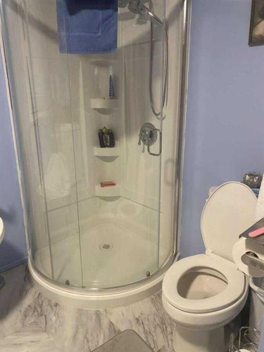 34 Lakeshore Drive, Grandview, AB - Indoor Photo Showing Bathroom