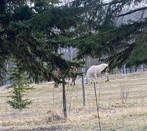 34 Lakeshore Drive, Grandview, AB - Outdoor With View