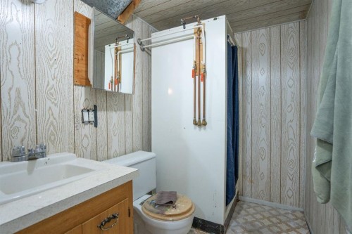 5011 51St Ave, Bashaw, AB - Indoor Photo Showing Bathroom