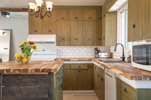 5011 51St Ave, Bashaw, AB - Indoor Photo Showing Kitchen