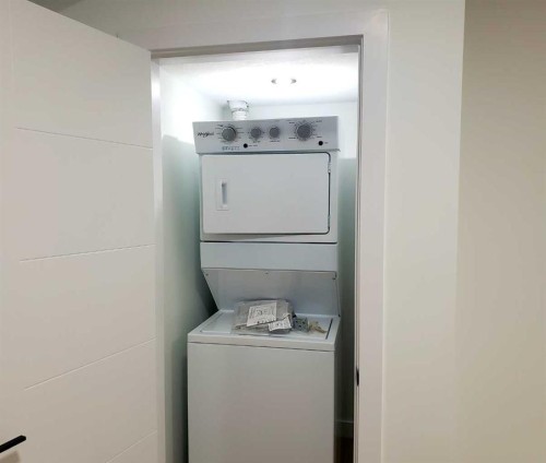 120 28 Street Sw, Edmonton, AB - Indoor Photo Showing Laundry Room