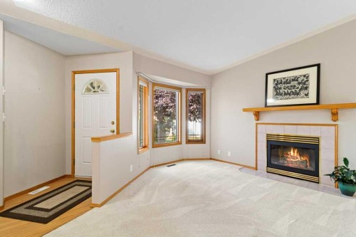 9 Dunn Close, Red Deer, AB - Indoor Photo Showing Living Room With Fireplace