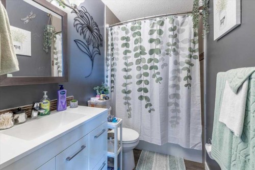 275006 Hwy 616, Rural Wetaskiwin No. 10, County Of, AB - Indoor Photo Showing Bathroom